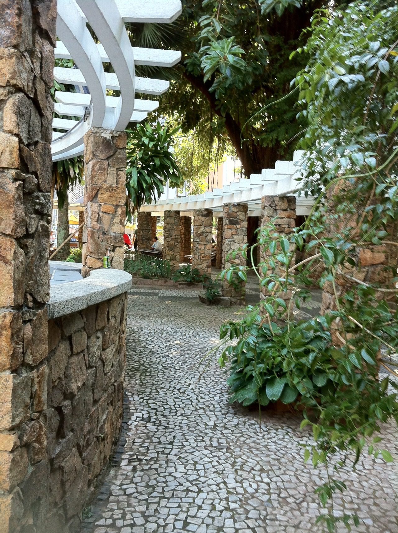 [Das coisas mortas pelo caminho…]